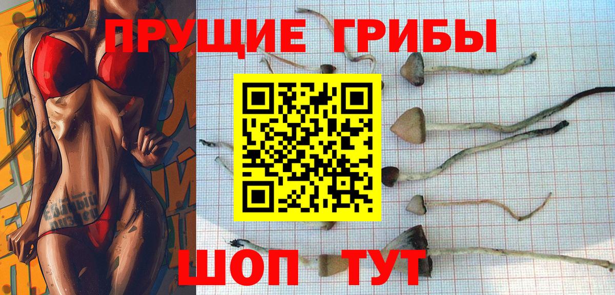 Галлюциногенные грибы прущие грибы  Псилоцибиновые грибы прущие грибы  Вход с VPN  Жигулёвск 