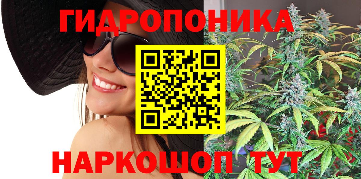 Конопля гибрид Жигулёвск